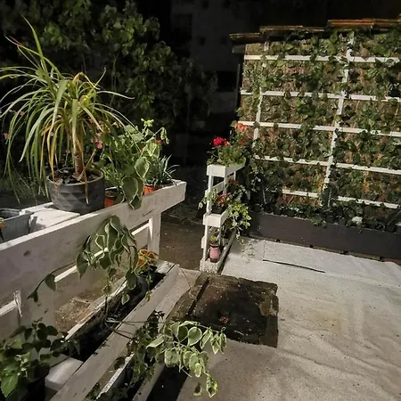 Bahami Jacuzi Novi Sad