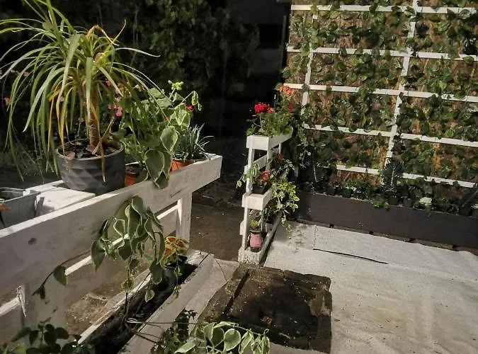 Bahami Jacuzi 诺威萨